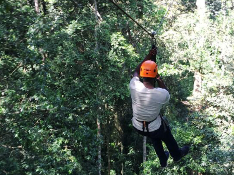 Zip Lining Experience in Mabira Forest