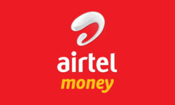 Airtel Money Payment Gateway
